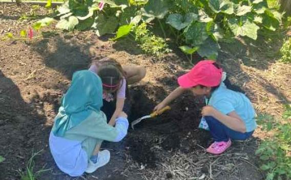 Youth participants tend the community garden in the DIRT educational program run by UMN SSW and CTC.
